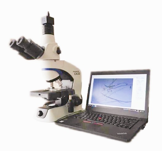 SRXT-533纖維圖像分析儀